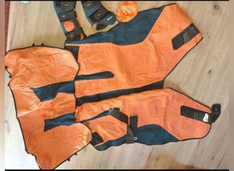 Bemer horse set Decke