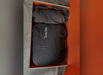 Bemer Horse Set 