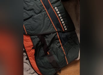 Bemer Horse Set 