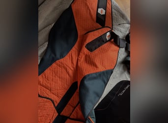Bemer Horse Set 