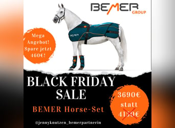 Bemer Horse Set