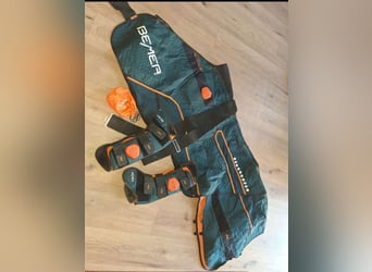 Bemer horse Set