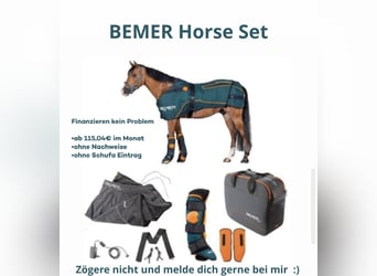 Bemer Horse Set 
