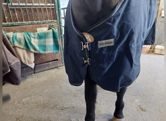 Kavalkade Outdoor Decke Montreal 155cm, 100g,Navy