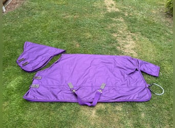 Kentucky Outdoordecke mit Halsteil - All Weather PRO purple 125cm