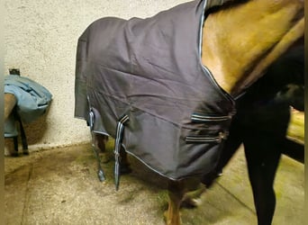 Outdoordecke von 0g-300g