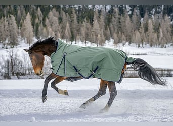 Winterdecke Highneck 125cm