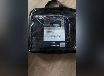 DOMINICK REGENDECKE PADDOCK NEW RUG LITE
