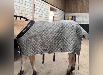 NEU! Eskadron Decke Größe 135cm