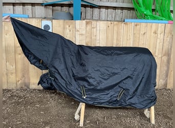 Stalldecke von Bucas