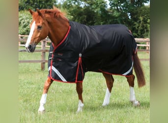 Wasserdichte Winterdecke 450g, Titan von Premier Equine, 6'3 (135-140 cm Rückenlänge)