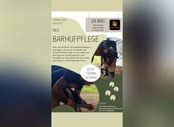 Barhufpflege 