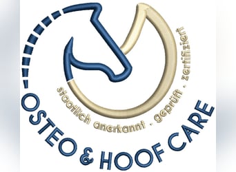 ganzheitliche und methodenoffene Hufbearbeitung, Osteopathie, Physiotherapie