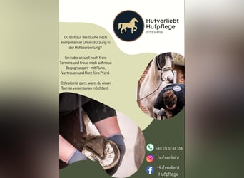 Hufpflege / Barhufbearbeitung 