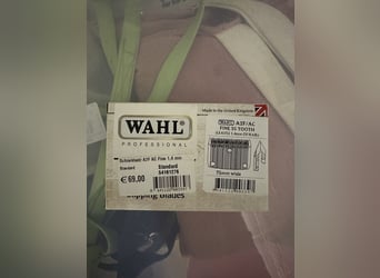 NEU Wahl Scherblätter