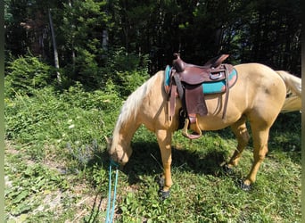 Freemax Westernsattel 