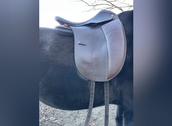 Lederbaumsattel Hidalgo