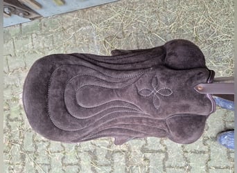 Signum Pad Dressage in Schoko, größe L zu verkaufen