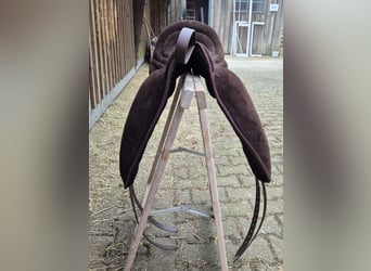 Signum Pad Dressage in Schoko, größe L zu verkaufen