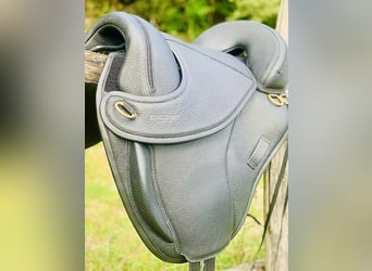 TORSION ENDURANCE/Standard Npa sw