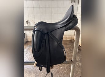 1 Jahr alter Sommer novalis Sattel 