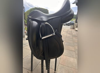 Acavallo Raffaello 17 Zoll