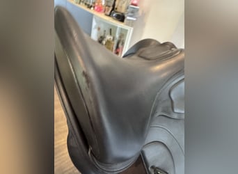 Amerigo Ceriva II 17‘5 Zoll