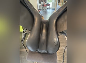 Amerigo Ceriva II 17‘5 Zoll