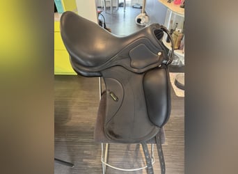 Amerigo Ceriva II 17‘5 Zoll