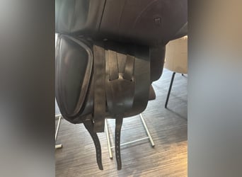 Amerigo Ceriva II 17‘5 Zoll