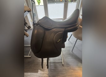 Amerigo Ceriva II 17‘5 Zoll