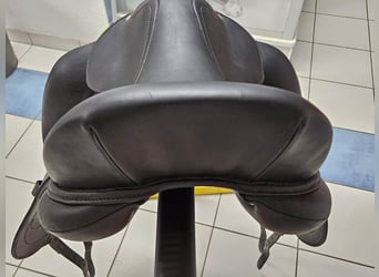 Antares Cadence  schwarz17.5 Zoll