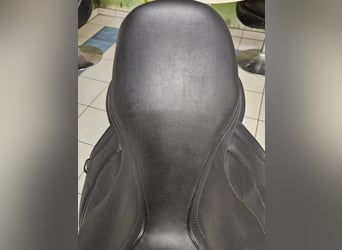 Antares Cadence  schwarz17.5 Zoll