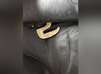 Antares Cadence  schwarz17.5 Zoll