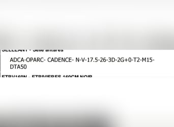 Antares Cadence  schwarz17.5 Zoll