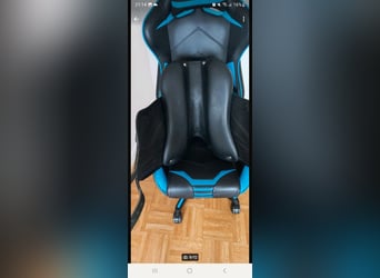 Antares Dressursattel 17,5 Zoll 31cm kammerweite