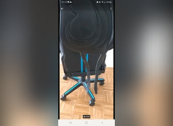 Antares Dressursattel 17,5 Zoll 31cm kammerweite