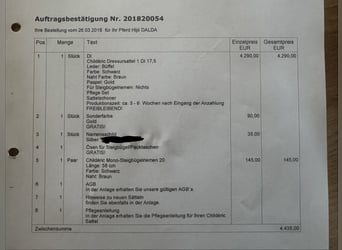 Childéric Dressursattel 1 DI 17,5