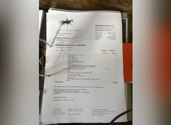 Childéric Dressursattel 17,5 Zoll