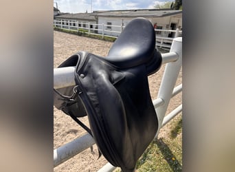 Childéric Dressursattel 17,5 Zoll