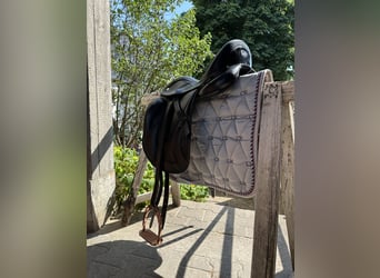 Dressage Evolution EVOD02 17" Schwarz/Lack