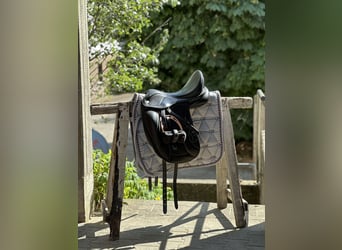 Dressage Evolution EVOD02 17" Schwarz/Lack