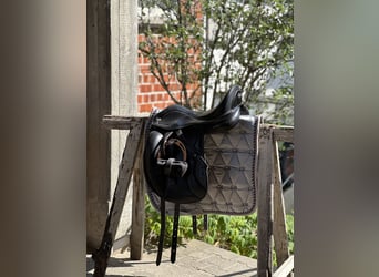 Dressage Evolution EVOD02 17" Schwarz/Lack