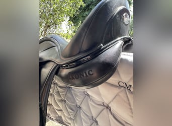 Dressage Evolution EVOD02 17" Schwarz/Lack