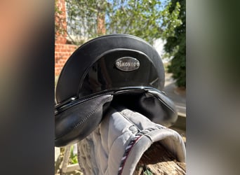 Dressage Evolution EVOD02 17" Schwarz/Lack