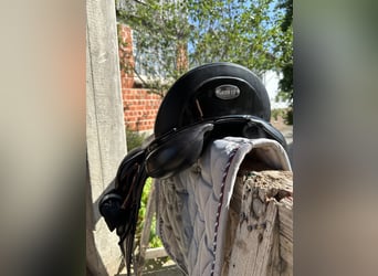 Dressage Evolution EVOD02 17" Schwarz/Lack