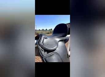 Dressursattel Deuber Leonhard Classic Dressage – 17 Zoll – kaum genutzt – Topzustand