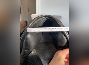 Dressursattel Fichtbauer Tentazione 18 Zoll schwarz