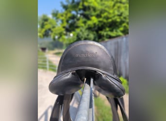 Dressursattel, reitsattel