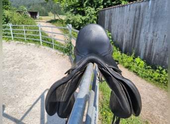 Dressursattel, reitsattel